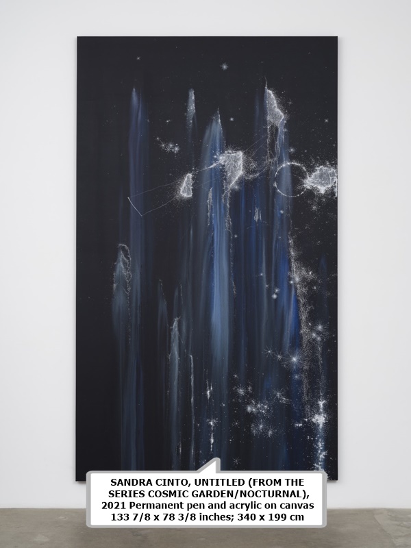 SANDRA CINTO
UNTITLED (FROM THE SERIES COSMIC GARDEN/NOCTURNAL), 2021
Permanent pen and acrylic on canvas
133 7/8 x 78 3/8 inches; 340 x 199 cm
