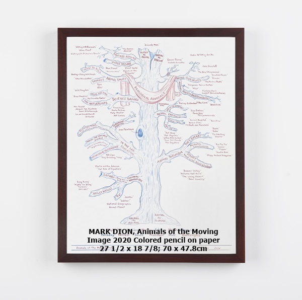 click to enlarge- double click to reduce MARK DION
Animals of the Moving Image
2020
Colored pencil on paper
27 1/2 x 18 7/8; 70 x 47.8cm