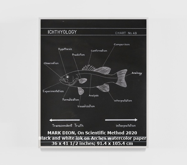 click to enlarge- double click to reduce MARK DION
On Scientific Method
2020
Black and white ink on Arches watercolor paper
36 x 41 1/2 inches; 91.4 x 105.4 cm