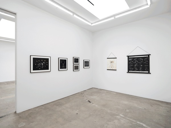 click to enlarge- double click to reduce Mark Dion, Installation view, Theater of Extinction, Tanya Bonakdar Gallery, Los Angeles, 2022, Photo by Rubin Diaz