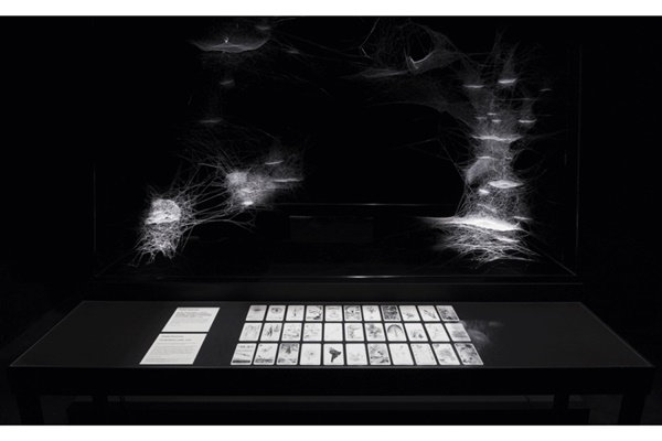 Tomás Saraceno, May You Live In Interesting Times