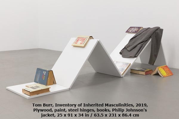 click to enlarge- double click to reduce Tom Burr, Inventory of Inherited Masculinities, 2019, Plywood, paint, steel hinges, books, Philip Johnson's jacket, 25 x 91 x 34 in / 63.5 x 231 x 86.4 cm