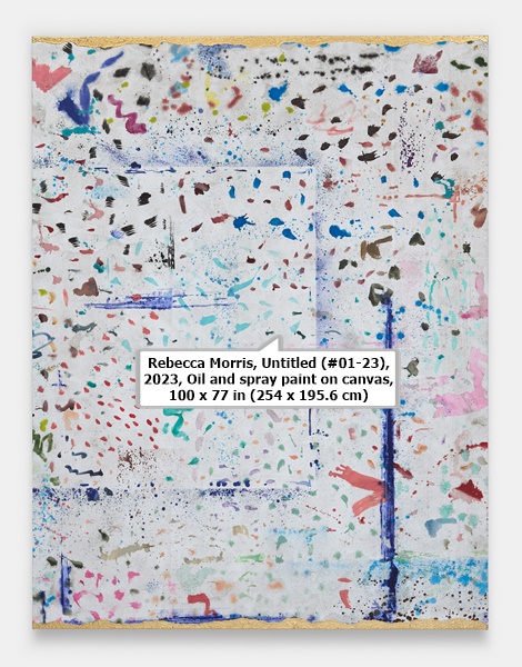 click to enlarge- double click to reduce Rebecca Morris, Untitled (#01-23), 2023, Oil and spray paint on canvas, 100 x 77 in (254 x 195.6 cm)