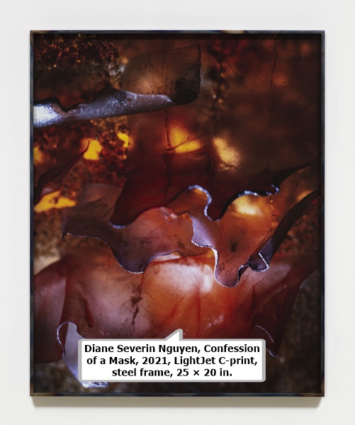 click to enlarge- double click to reduce Diane Severin Nguyen, Confession of a Mask, 2021, LightJet C-print, steel frame, 25 × 20 in.