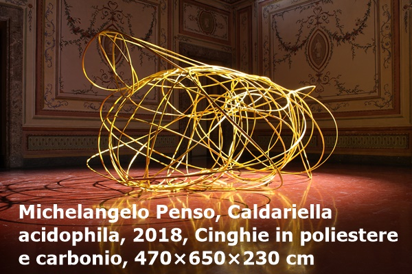 click to enlarge- double click to reduce Michelangelo Penso, Caldariella acidophila, 2018, Cinghie in poliestere e carbonio, 470×650×230 cm