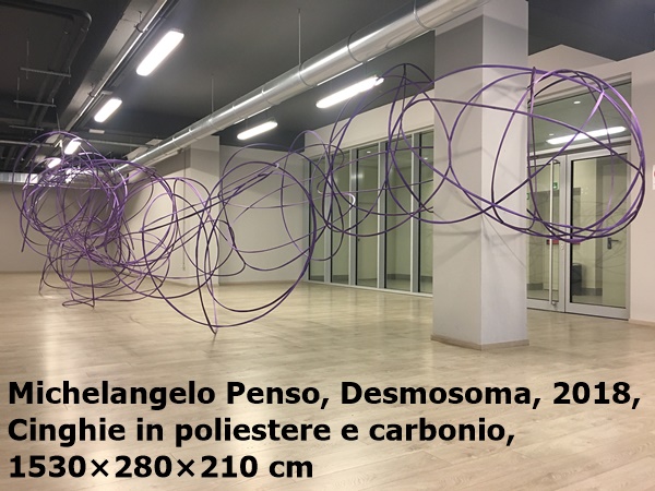 click to enlarge- double click to reduce Michelangelo Penso, Desmosoma, 2018, Cinghie in poliestere e carbonio, 1530×280×210 cm