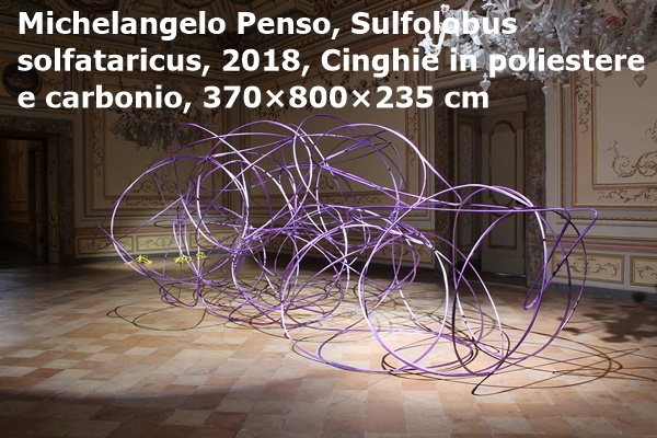 click to enlarge- double click to reduce Michelangelo Penso, Sulfolobus solfataricus, 2018, Cinghie in poliestere e carbonio, 370×800×235 cm