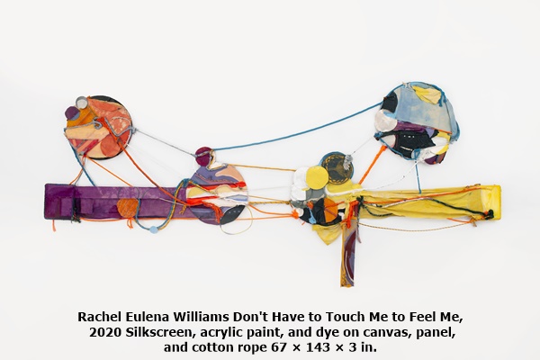 Rachel Eulena Williams Don't Have to Touch Me to Feel Me, 2020
Silkscreen, acrylic paint, and dye on canvas, panel, and cotton rope 67 × 143 × 3 in.