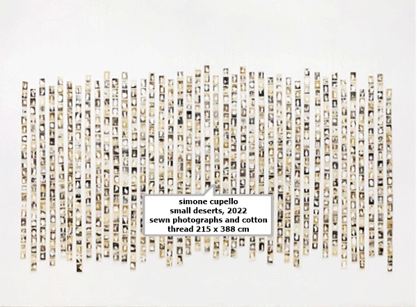 simone cupello
small deserts, 2022
sewn photographs and cotton
thread
215 x 388 cm