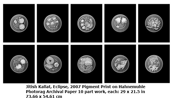 click to enlarge- double click to reduce Jitish Kallat
Eclipse, 2007
Pigment Print on Hahnemuhle Photorag Archival Paper
10 part work, each:
29 x 21.5 in
73.66 x 54.61 cm