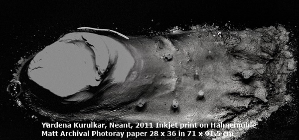 click to enlarge- double click to reduce Yardena Kurulkar
Neant, 2011
Inkjet print on Hahnemuhle Matt Archival Photoray paper
28 x 36 in
71 x 91.5 cm