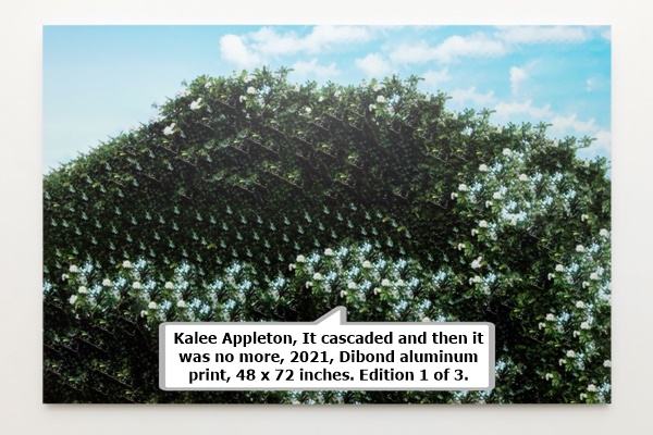Kalee Appleton, It cascaded and then it was no more, 2021, Dibond aluminum print, 48 x 72 inches. Edition 1 of 3.