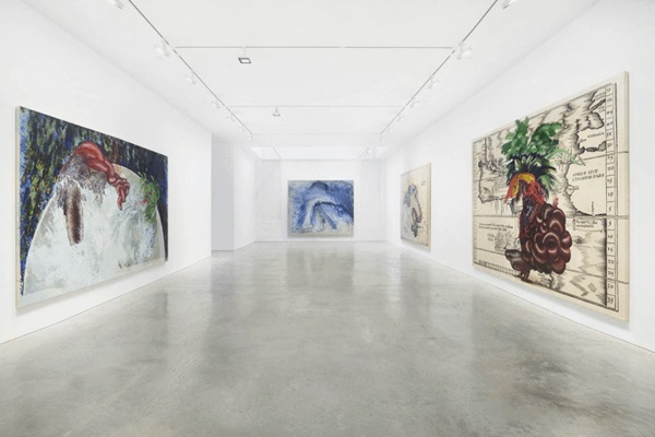 click to enlarge- double click to reduce FIRELEI BÁEZ
Installation view