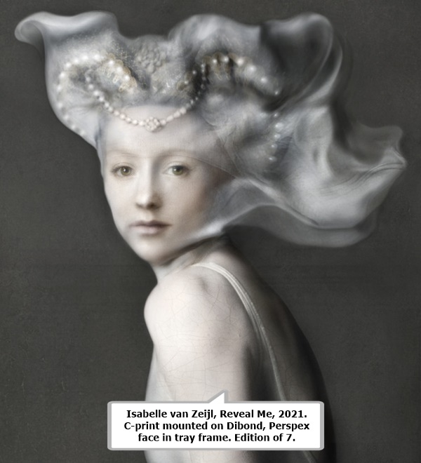 click to enlarge- double click to reduce Isabelle van Zeijl, Reveal Me, 2021. C-print mounted on Dibond, Perspex face in tray frame. Edition of 7.
