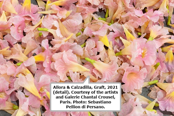 click to enlarge- double click to reduce Allora & Calzadilla, Graft, 2021 (detail). Courtesy of the artists and Galerie Chantal Crousel, Paris. Photo: Sebastiano Pellion di Persano.