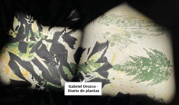 Gabriel Orozco - Diario de plantas