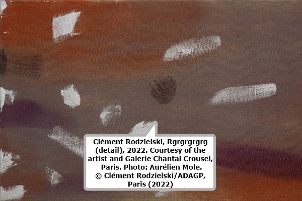 click to enlarge- double click to reduce Clément Rodzielski, Rgrgrgrgrg (detail), 2022. Courtesy of the artist and Galerie Chantal Crousel, Paris. Photo: Aurélien Mole. © Clément Rodzielski/ADAGP, Paris (2022).