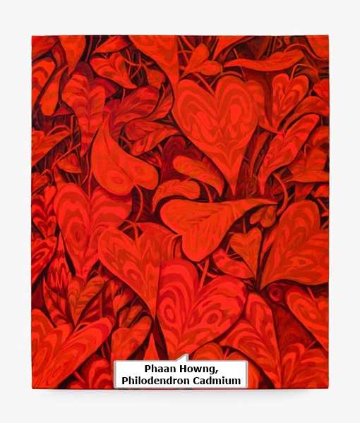 click to enlarge- double click to reduce Phaan Howng, Philodendron Cadmium