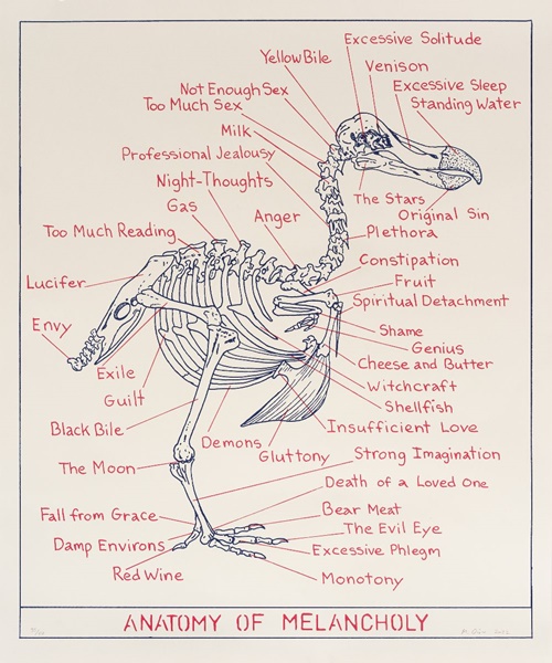 click to enlarge- double click to reduce Mark Dion: Anatomy of Melancholy, 2022