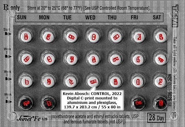 click to enlarge- double click to reduce Kevin Abosch: CONTROL, 2022
Digital C-print mounted to aluminium and plexiglass, 139.7 x 203.2 cm / 55 x 80 in