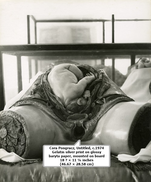 Cora Pongracz
Untitled, c.1974
Gelatin silver print on glossy baryta paper, mounted on board
18 ⅜ × 11 ¼ inches (46.67 × 28.58 cm)