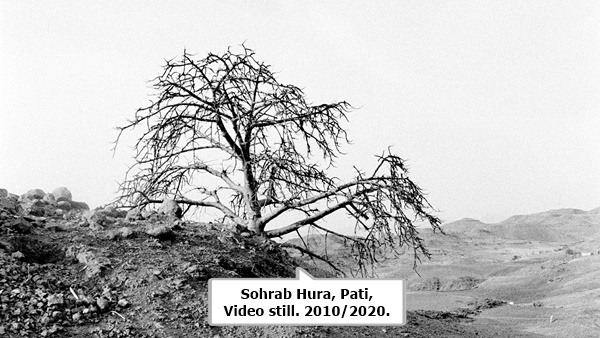 Sohrab Hura, Pati, Video still. 2010/2020.