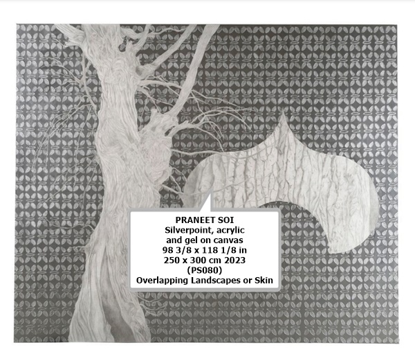 click to enlarge- double click to reduce PRANEET SOI
Silverpoint, acrylic and gel on canvas
98 3/8 x 118 1/8 in
250 x 300 cm
2023
(PS080)
Overlapping Landscapes or Skin