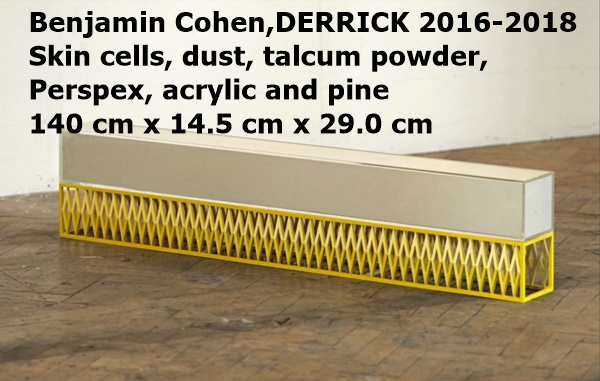 Benjamin Cohen,DERRICK 2016-2018
Skin cells, dust, talcum powder,
Perspex, acrylic and pine
140 cm x 14.5 cm x 29.0 cm