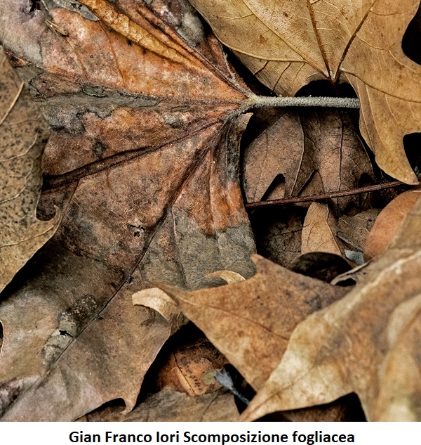 click to enlarge- double click to reduce