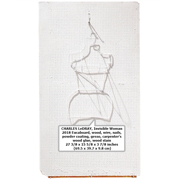 CHARLES LeDRAY
Invisible Woman
2018
Eucaboard, wood, wire, nails, powder coating, gesso, carpenter’s wood glue, wood stain
27 3/8 x 15 5/8 x 3 7/8 inches
 (69.5 x 39.7 x 9.8 cm)