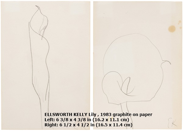 ELLSWORTH KELLY
Lily , 1983
graphite on paper
Left:
6 3/8 x 4 3/8 in
(16.2 x 11.1 cm)
Right:
6 1/2 x 4 1/2 in
(16.5 x 11.4 cm)