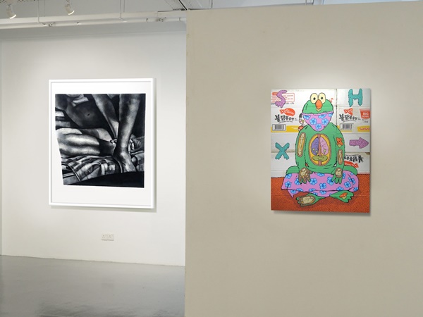 G13 Gallery, Mending Fence Installation view
