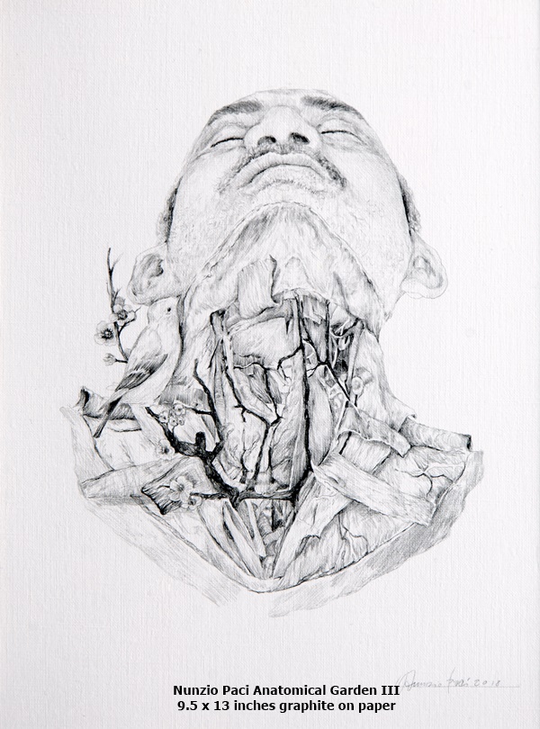 Anatomical Garden III
Nunzio Paci
9.5 x 13 inches
graphite on paper