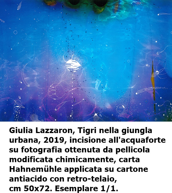 6.	Giulia Lazzaron, Tigri nella giungla urbana, 2019, incisione all'acquaforte su fotografia ottenuta da pellicola modificata chimicamente, carta Hahnemühle applicata su cartone antiacido con retro-telaio, cm 50x72. Esemplare 1/1.