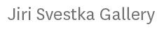 logo Jiri Svestka Gallery