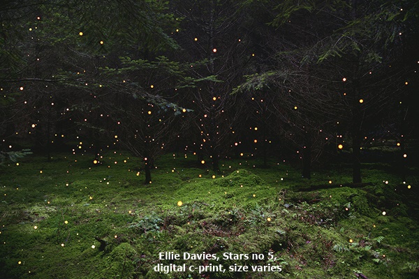Ellie Davies, Stars no 5, digital c-print, size varies