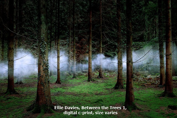 Ellie Davies, Between the Trees 1, digital c-print, size varies