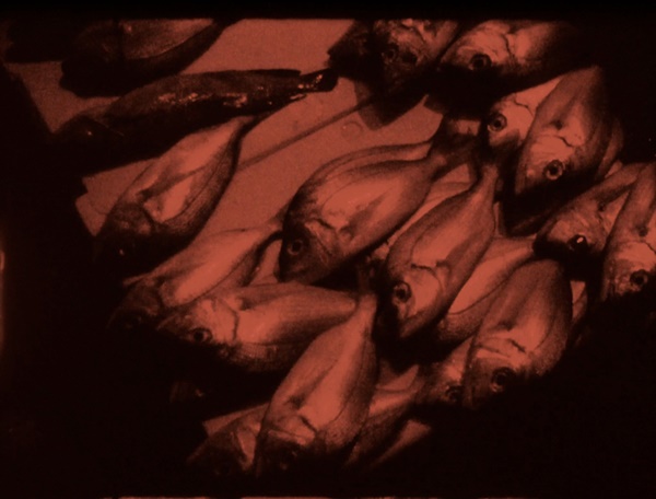 click to enlarge- double click to reduce Yto Barrada, Stills from Continental Drift, 2021