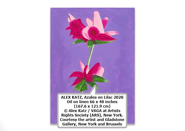 click to enlarge- double click to reduce ALEX KATZ
Azalea on Lilac
2020
Oil on linen
66 x 48 inches (167.6 x 121.9 cm)
© Alex Katz / VAGA at Artists Rights Society (ARS), New York. Courtesy the artist and Gladstone Gallery, New York and Brussels