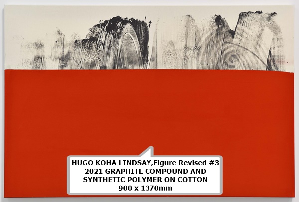 click to enlarge- double click to reduce HUGO KOHA LINDSAY,Figure Revised #3
2021 GRAPHITE COMPOUND AND SYNTHETIC POLYMER ON COTTON900 x 1370mm