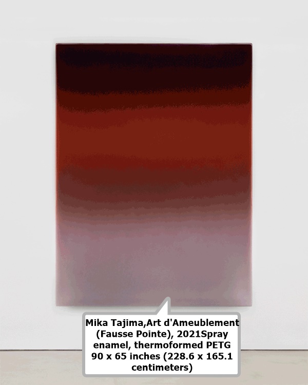 click to enlarge- double click to reduce Mika Tajima,
Art d'Ameublement (Fausse Pointe), 2021
Spray enamel, thermoformed PETG
90 x 65 inches (228.6 x 165.1 centimeters)