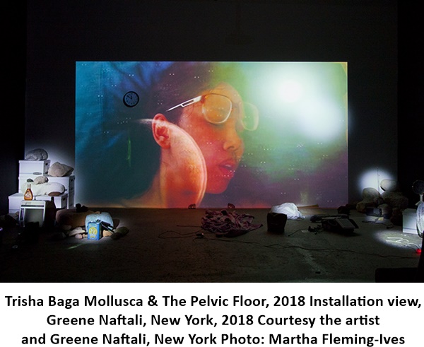 Trisha Baga Mollusca & The Pelvic Floor, 2018 Installation view, Greene Naftali, New York, 2018 Courtesy the artist and Greene Naftali, New York Photo: Martha Fleming-Ives