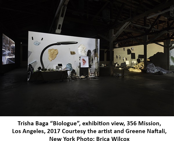 Trisha Baga “Biologue”, exhibition view, 356 Mission, Los Angeles, 2017 Courtesy the artist and Greene Naftali, New York Photo: Brica Wilcox