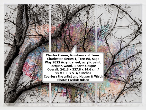 click to enlarge- double click to reduce Charles Gaines
Numbers and Trees: Charleston Series 1, Tree #8, Sage Way
2022
Acrylic sheet, acrylic paint, lacquer, wood, 3 parts
Unique
Overall: 241.3 x 337.8 x 14.6 cm / 95 x 133 x 5 3/4 inches
• Charles Gaines
Courtesy the artist and Hauser & Wirth
Photo: Fredrik Nilsen