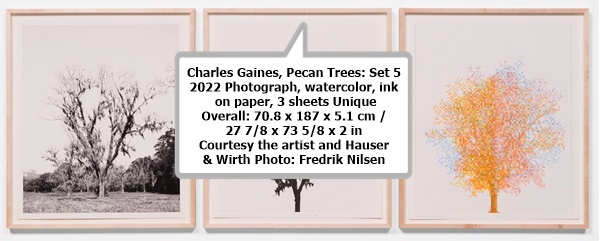 click to enlarge- double click to reduce Charles Gaines
Pecan Trees: Set 5
2022
Photograph, watercolor, ink on paper, 3 sheets
Unique
Overall: 70.8 x 187 x 5.1 cm / 27 7/8 x 73 5/8 x 2 in
• Charles Gaines
Courtesy the artist and Hauser & Wirth
Photo: Fredrik Nilsen