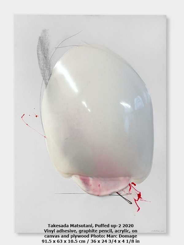 click to enlarge- double click to reduce Takesada Matsutani, Puffed up-2 2020
Vinyl adhesive, graphite pencil, acrylic, on
canvas and plywood Photo: Marc Domage
91.5 x 63 x 10.5 cm / 36 x 24 3/4 x 4 1/8 in