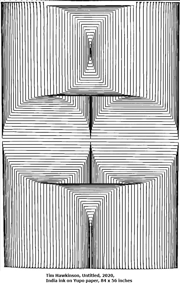 click to enlarge- double click to reduce Tim Hawkinson, Untitled, 2020, India ink on Yupo paper, 84 x 56 inches