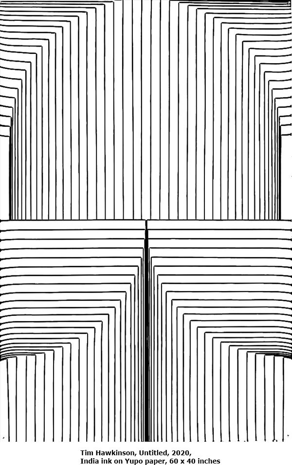 click to enlarge- double click to reduce Tim Hawkinson, Untitled, 2020, India ink on Yupo paper, 60 x 40 inches