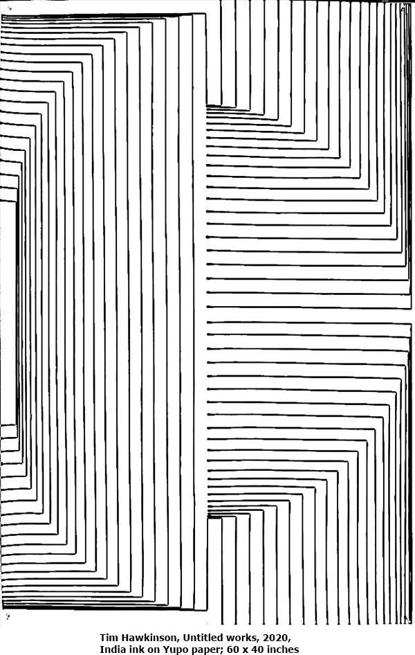 click to enlarge- double click to reduce Tim Hawkinson, Untitled works, 2020,
India ink on Yupo paper; 60 x 40 inches