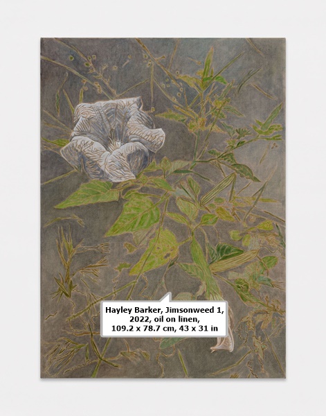 Hayley Barker, Jimsonweed 1, 2022, oil on linen, 109.2 x 78.7 cm, 43 x 31 in